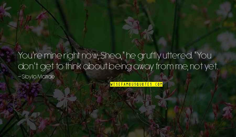 Being Away From You Quotes By Sibylla Matilde: You're mine right now, Shea," he gruffly uttered. Being Away From You Quotes By Sibylla Matilde: You're mine right now, Shea," he gruffly uttered.