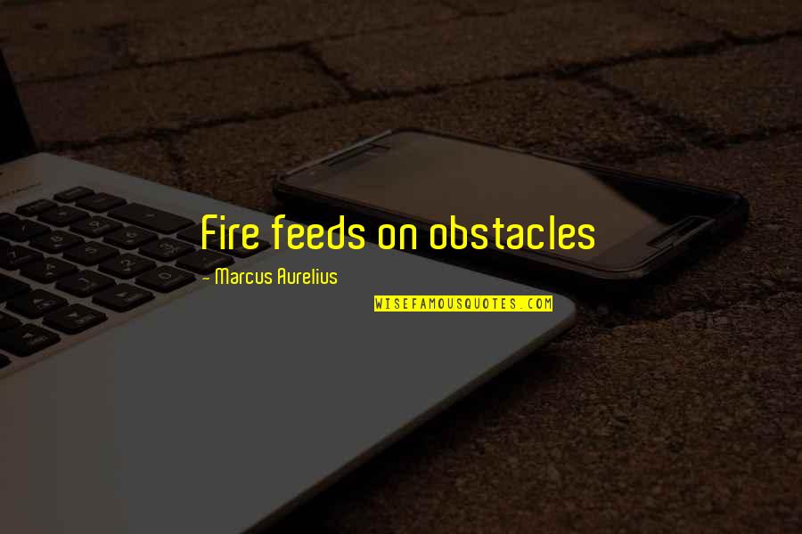 Being Beautiful And Strong Quotes By Marcus Aurelius: Fire feeds on obstacles