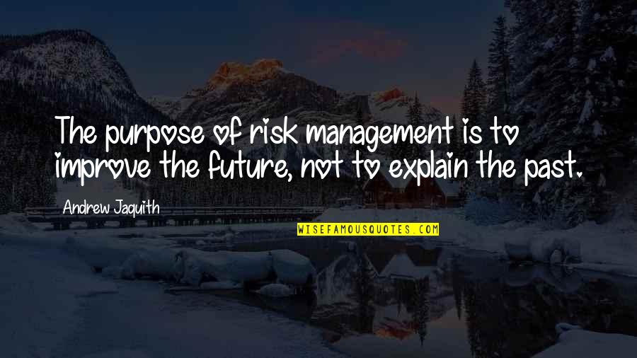 Being Behind The Wheel Quotes By Andrew Jaquith: The purpose of risk management is to improve