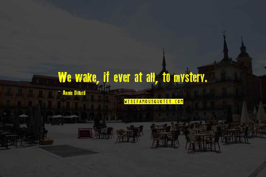 Being Better Without Someone Quotes By Annie Dillard: We wake, if ever at all, to mystery.