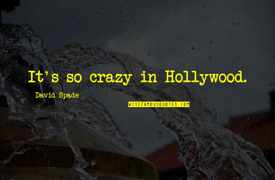 Being Better Without Someone Quotes By David Spade: It's so crazy in Hollywood.