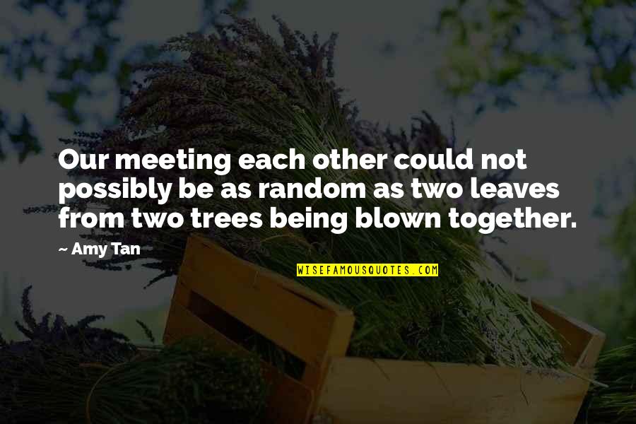 Being Blown Off Quotes By Amy Tan: Our meeting each other could not possibly be
