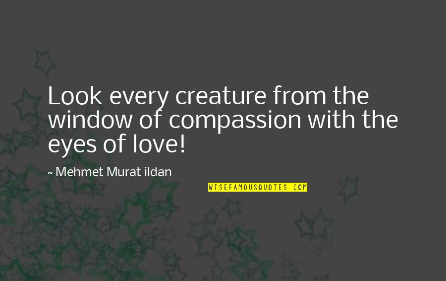 Being Broke But Happy Quotes By Mehmet Murat Ildan: Look every creature from the window of compassion