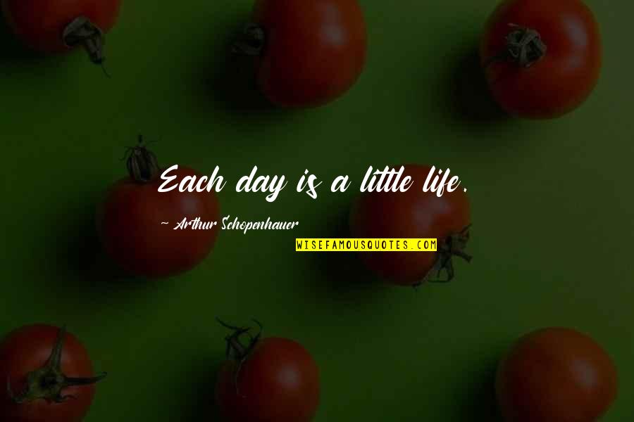 Being By Yourself And Happy Quotes By Arthur Schopenhauer: Each day is a little life.