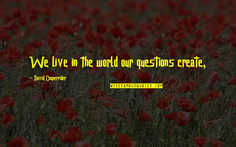 Being Called Annoying Quotes By David Cooperrider: We live in the world our questions create,