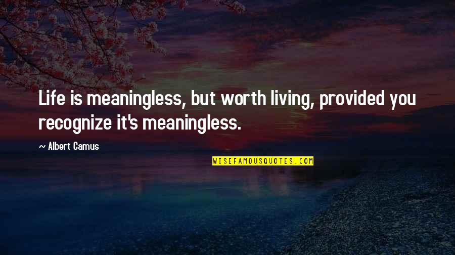 Being Called Crazy Quotes By Albert Camus: Life is meaningless, but worth living, provided you