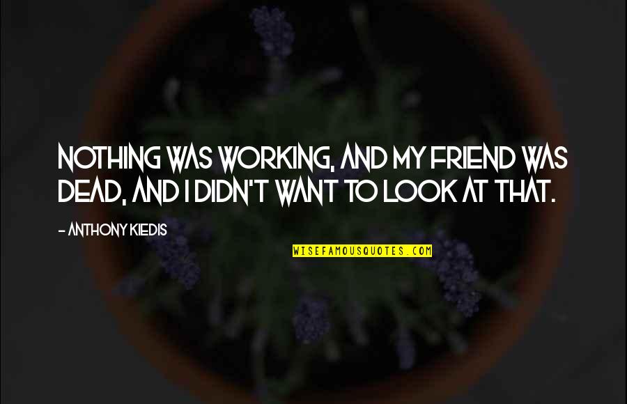 Being Called Stuck Up Quotes By Anthony Kiedis: Nothing was working, and my friend was dead,