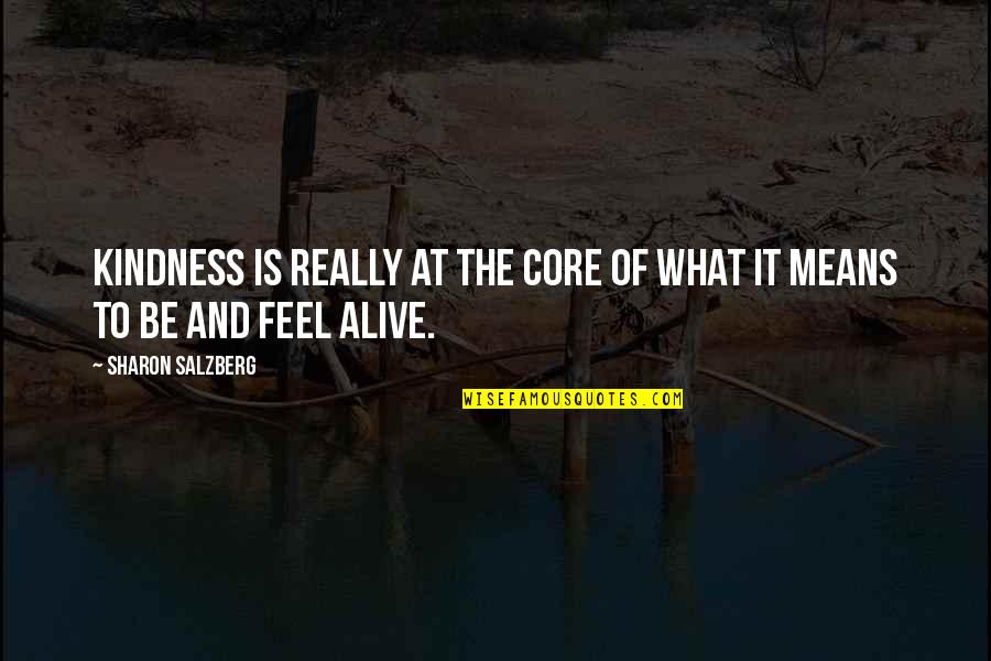 Being Caring Too Much Quotes By Sharon Salzberg: Kindness is really at the core of what