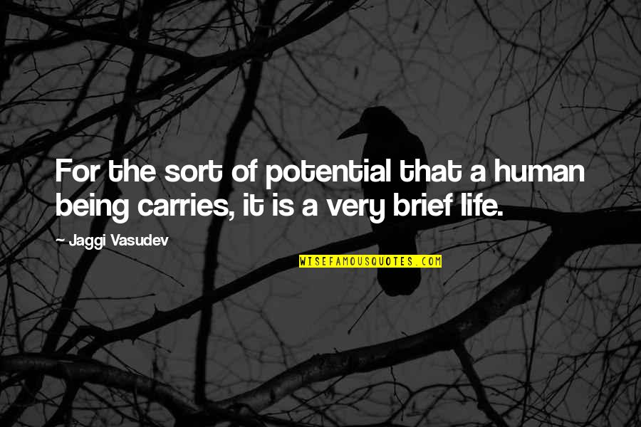Being Carries Quotes By Jaggi Vasudev: For the sort of potential that a human