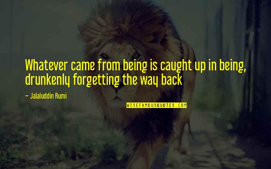 Being Caught Quotes By Jalaluddin Rumi: Whatever came from being is caught up in