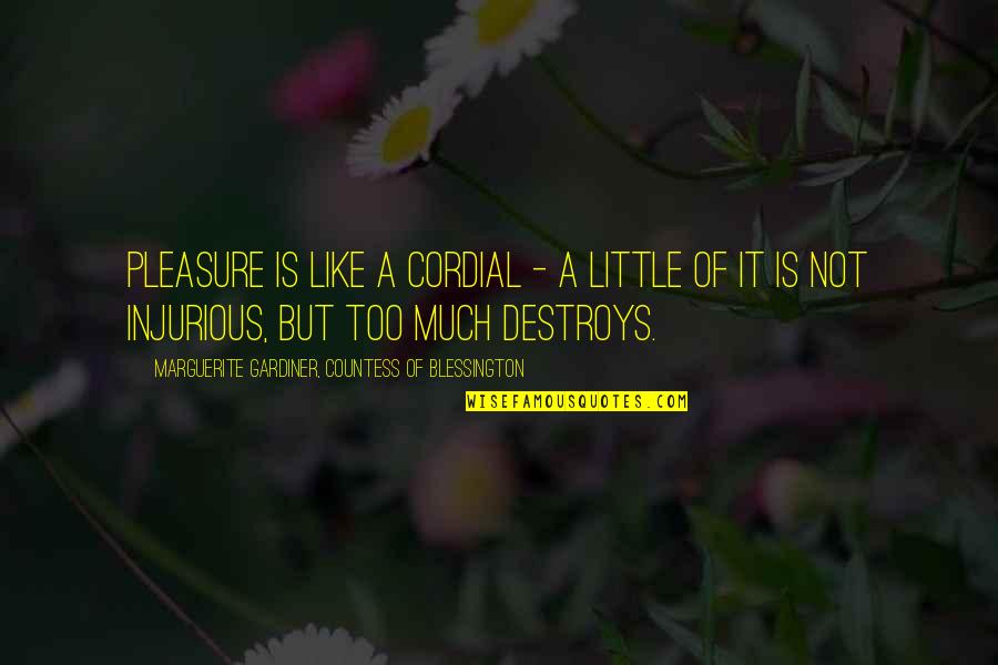 Being Centred Quotes By Marguerite Gardiner, Countess Of Blessington: Pleasure is like a cordial - a little