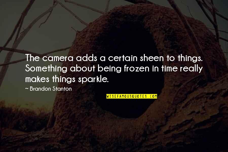 Being Certain Quotes By Brandon Stanton: The camera adds a certain sheen to things.