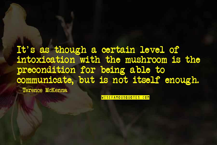 Being Certain Quotes By Terence McKenna: It's as though a certain level of intoxication