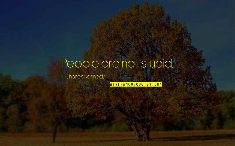 Being Circumspect Quotes By Charles Kennedy: People are not stupid.