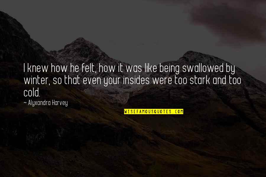 Being Cold In Winter Quotes By Alyxandra Harvey: I knew how he felt, how it was