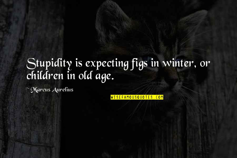 Being Comfortable With The One You Love Quotes By Marcus Aurelius: Stupidity is expecting figs in winter, or children