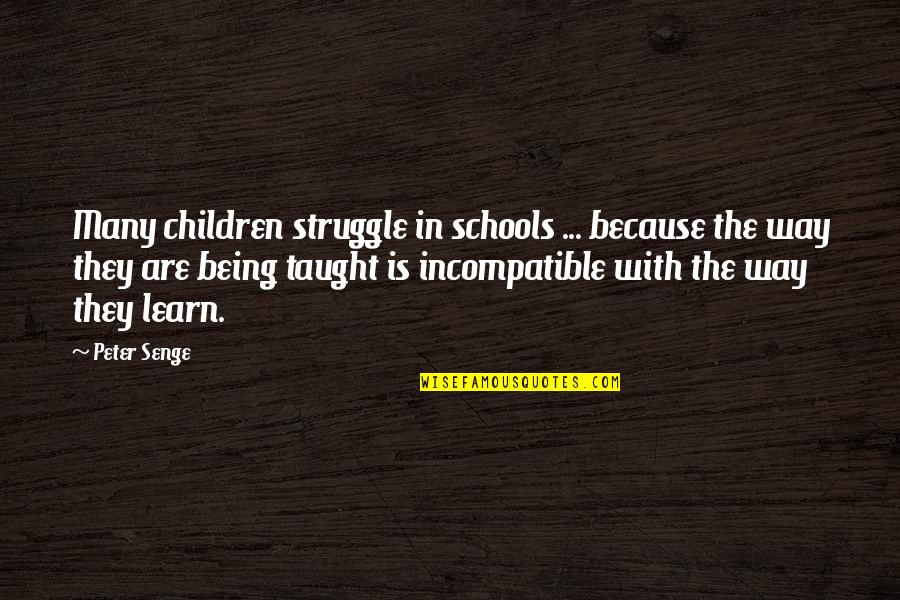 Being Comfy Quotes By Peter Senge: Many children struggle in schools ... because the