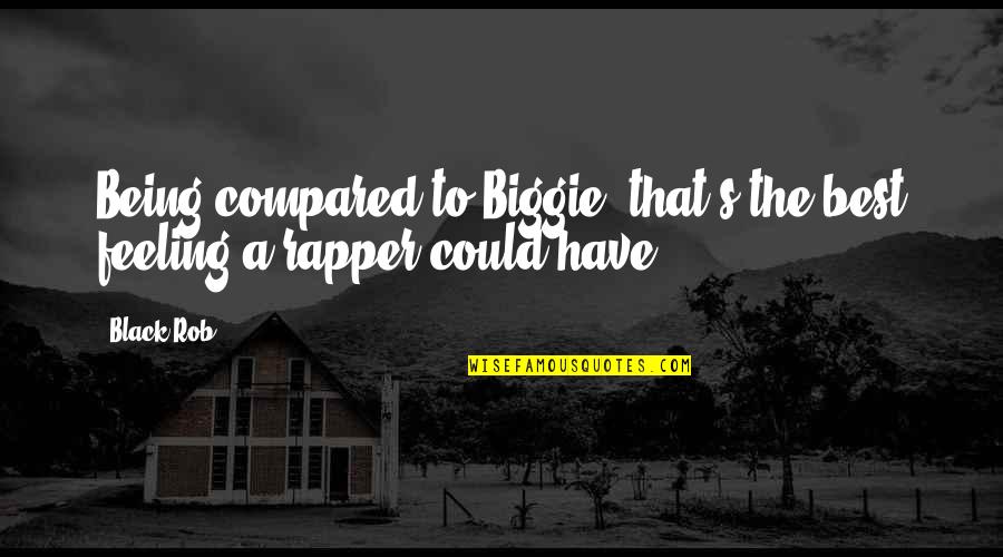 Being Compared Quotes By Black Rob: Being compared to Biggie, that's the best feeling