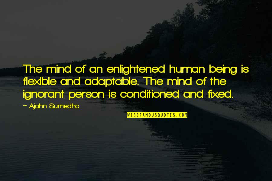 Being Conditioned Quotes By Ajahn Sumedho: The mind of an enlightened human being is