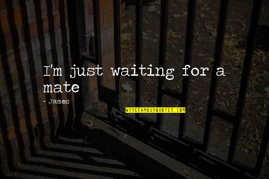 Being Confident In A Relationship Quotes By James: I'm just waiting for a mate