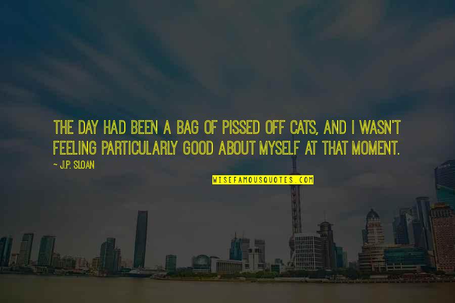 Being Conned Quotes By J.P. Sloan: The day had been a bag of pissed
