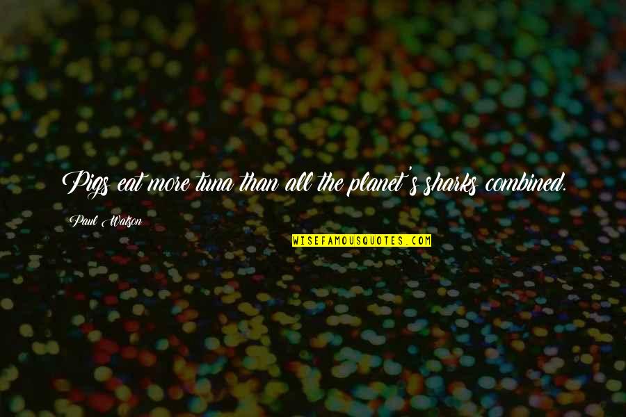 Being Content With Being Single Quotes By Paul Watson: Pigs eat more tuna than all the planet's