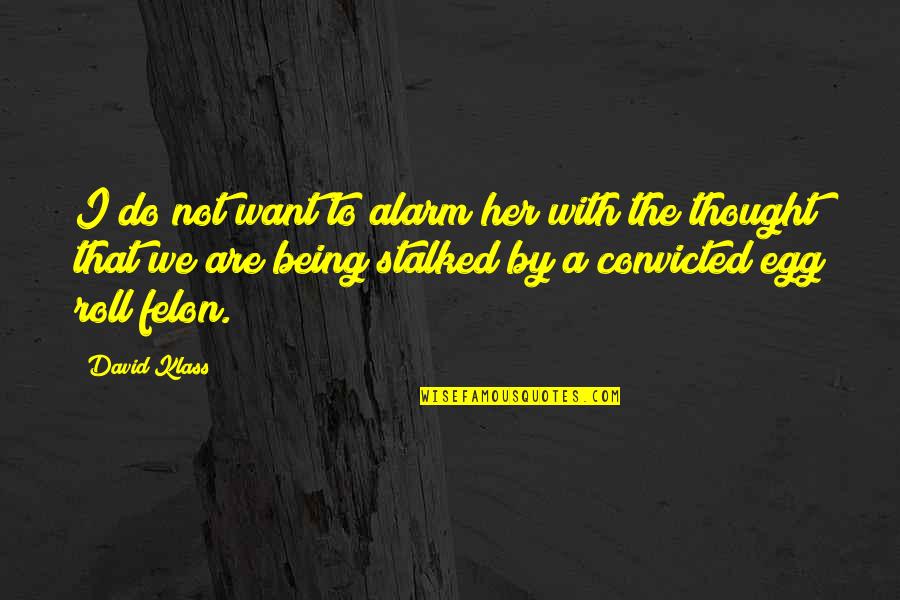 Being Convicted Quotes By David Klass: I do not want to alarm her with