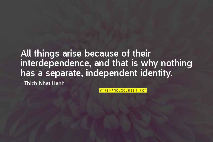 Being Crazy And Free Quotes By Thich Nhat Hanh: All things arise because of their interdependence, and