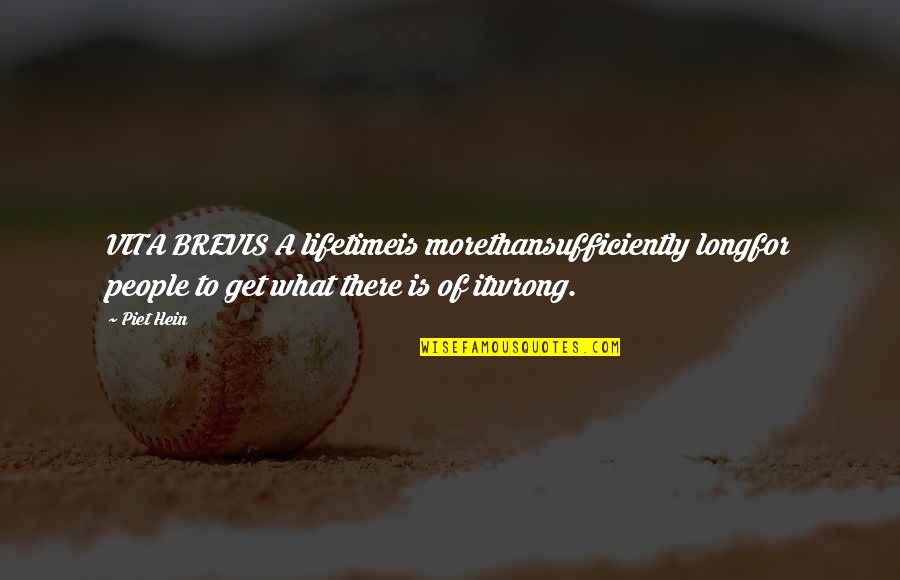 Being Crazy And Having Fun Tumblr Quotes By Piet Hein: VITA BREVIS A lifetimeis morethansufficiently longfor people to