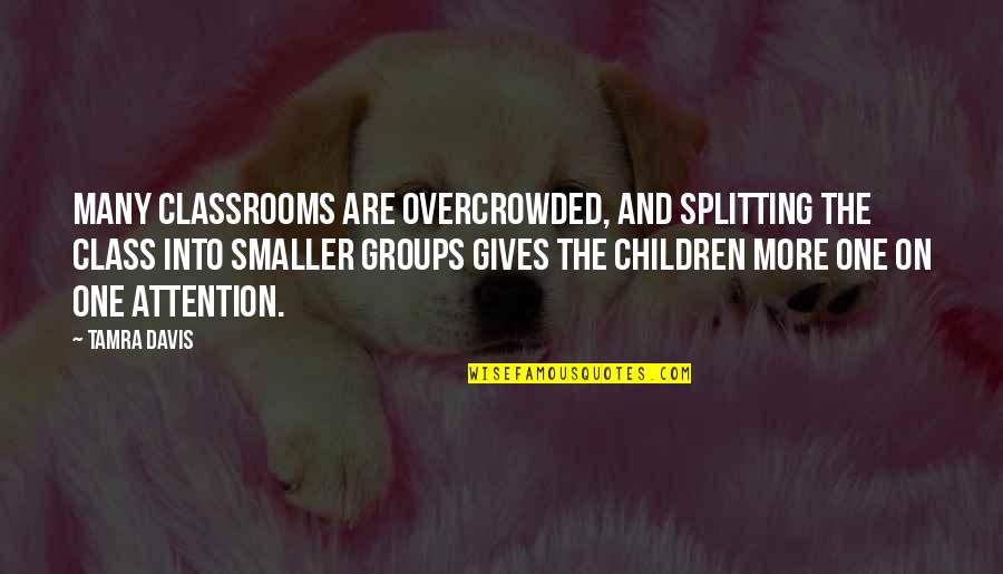 Being Crazy For Someone Quotes By Tamra Davis: Many classrooms are overcrowded, and splitting the class