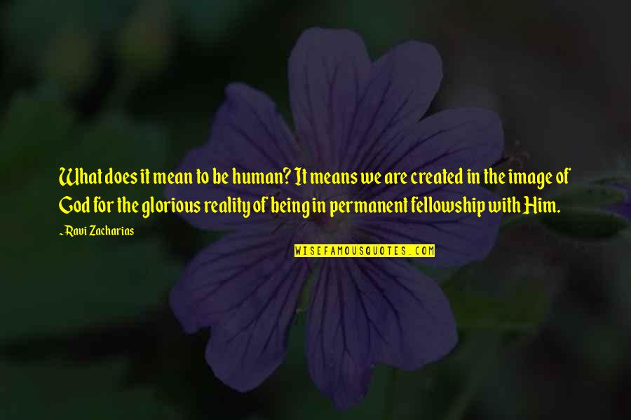 Being Created In The Image Of God Quotes By Ravi Zacharias: What does it mean to be human? It