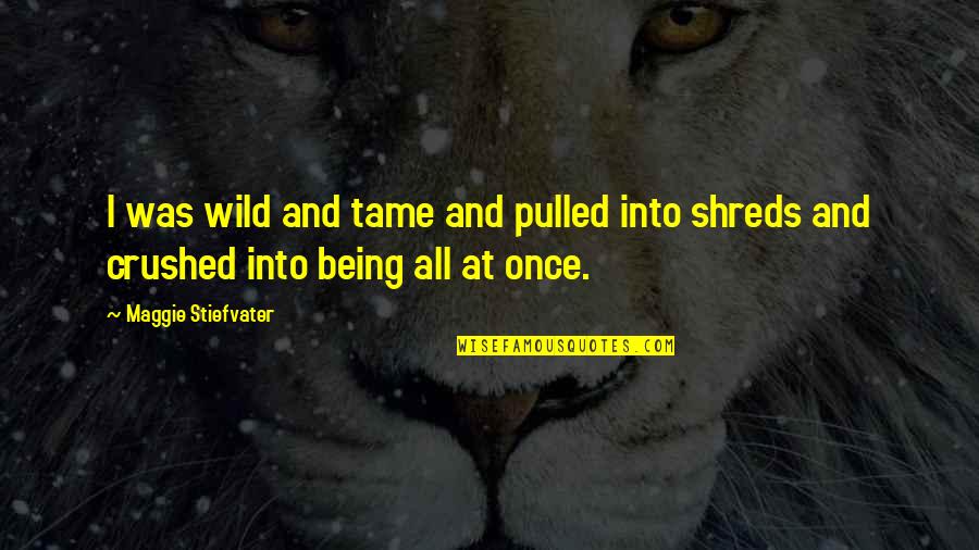 Being Crushed Quotes By Maggie Stiefvater: I was wild and tame and pulled into