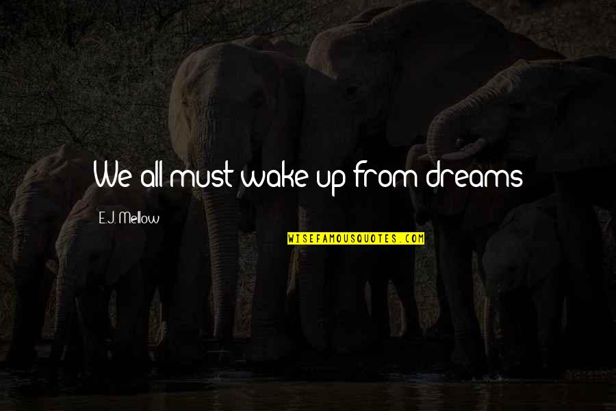 Being Deceived Tumblr Quotes By E.J. Mellow: We all must wake up from dreams