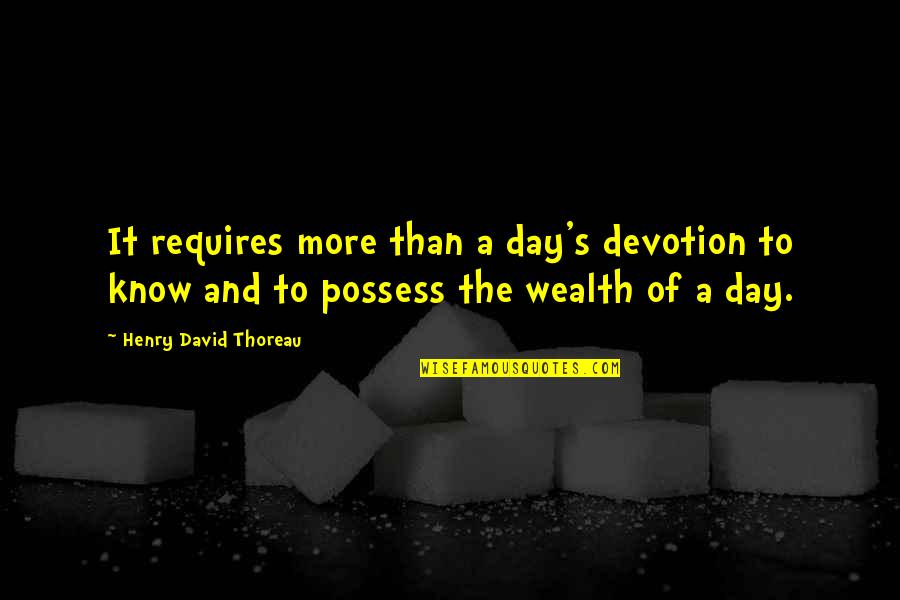 Being Defined As A Person Quotes By Henry David Thoreau: It requires more than a day's devotion to