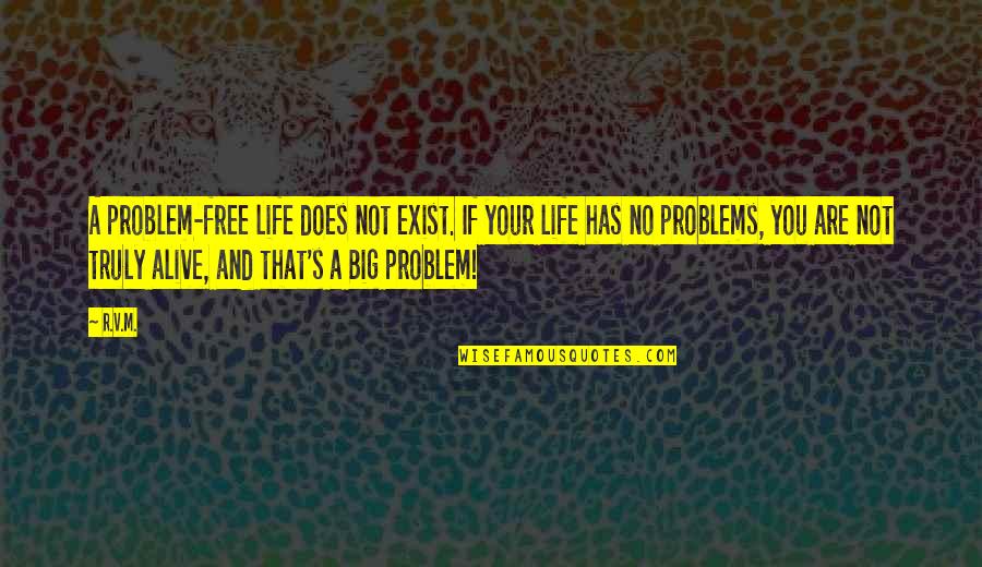Being Directionless Quotes By R.v.m.: A problem-free life does not exist. If your