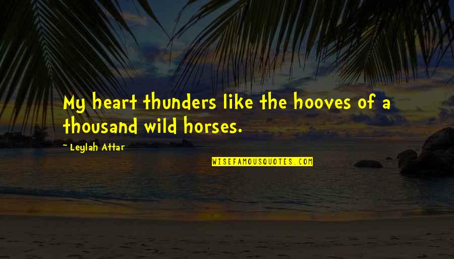 Being Disappointed In Your Parents Quotes By Leylah Attar: My heart thunders like the hooves of a