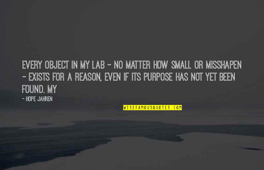 Being Done With Trying Quotes By Hope Jahren: Every object in my lab - no matter