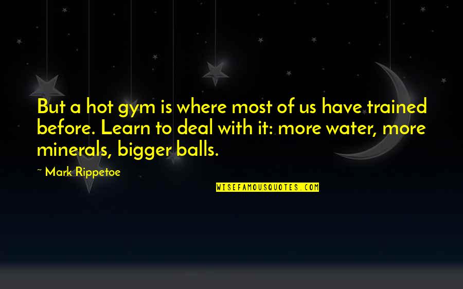 Being Dorky Quotes By Mark Rippetoe: But a hot gym is where most of