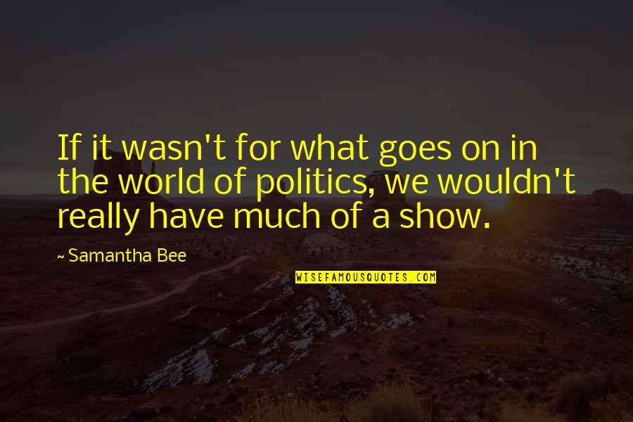 Being Drenched Quotes By Samantha Bee: If it wasn't for what goes on in