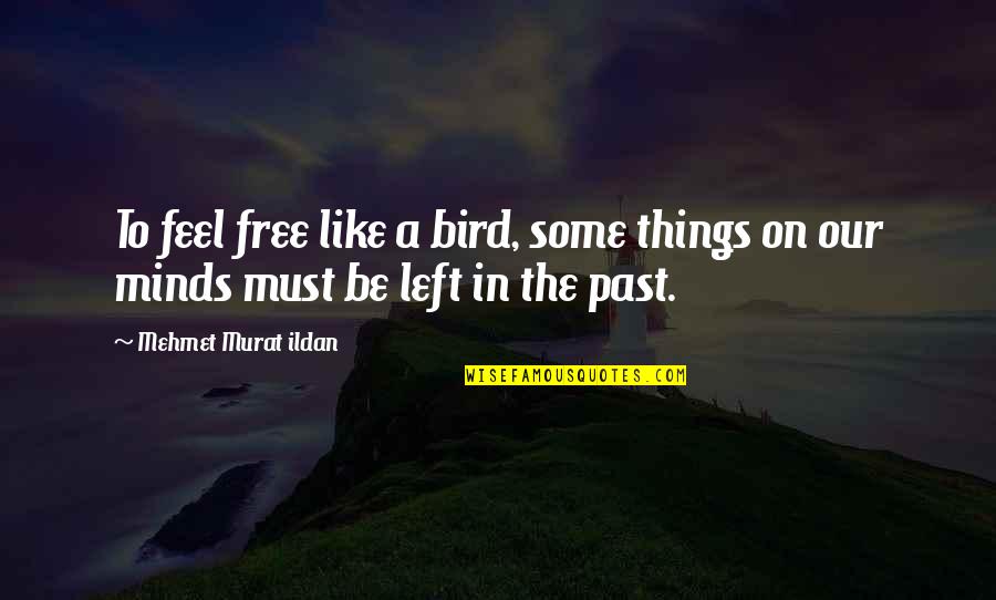 Being Driven Insane Quotes By Mehmet Murat Ildan: To feel free like a bird, some things