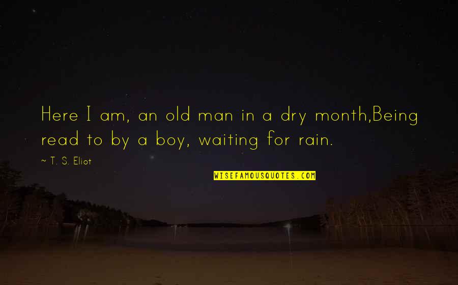 Being Dry Quotes By T. S. Eliot: Here I am, an old man in a