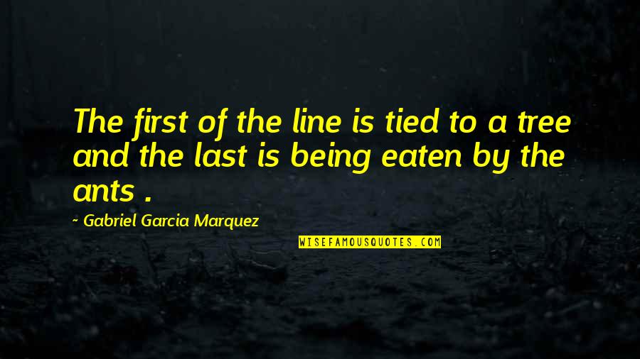 Being Eaten Quotes By Gabriel Garcia Marquez: The first of the line is tied to