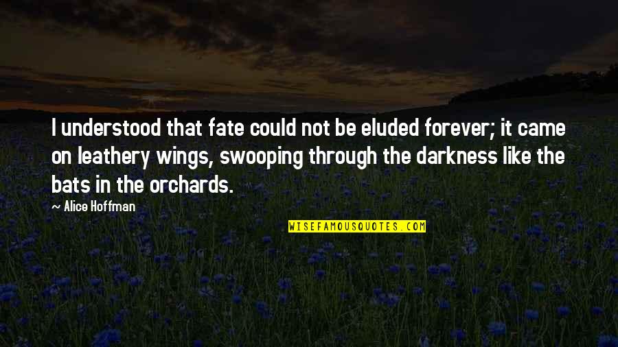 Being Educated Person Quotes By Alice Hoffman: I understood that fate could not be eluded