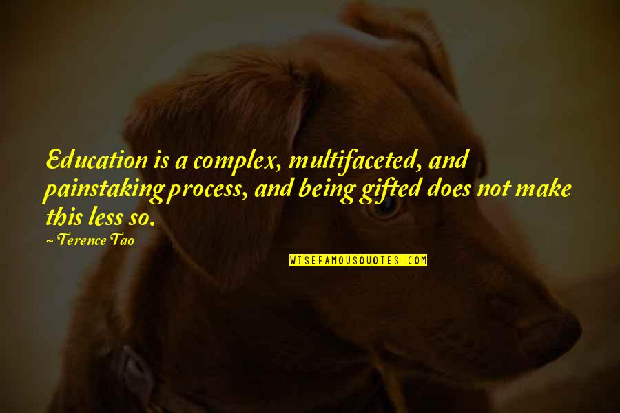 Being Education Quotes By Terence Tao: Education is a complex, multifaceted, and painstaking process,