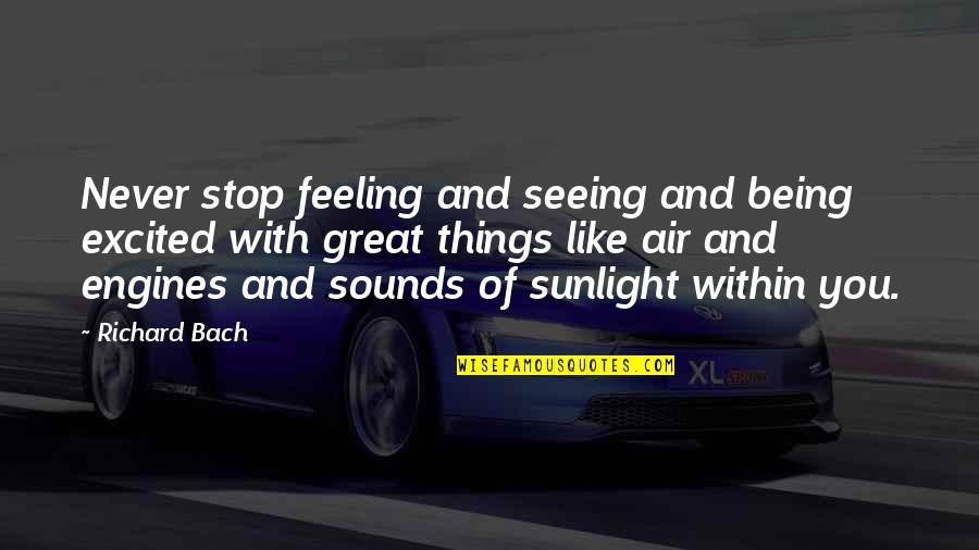 Being Excited Quotes By Richard Bach: Never stop feeling and seeing and being excited