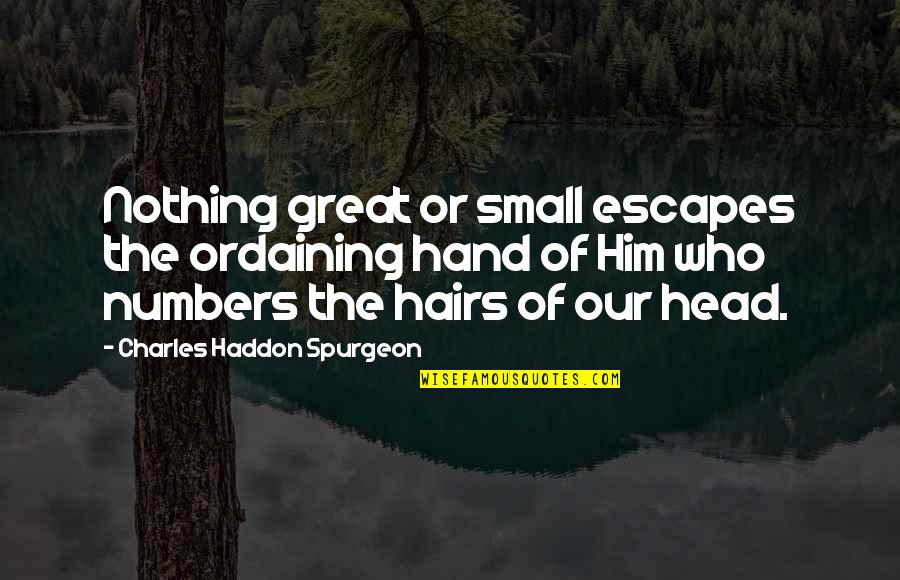 Being Fake And Real Quotes By Charles Haddon Spurgeon: Nothing great or small escapes the ordaining hand
