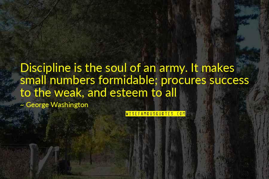 Being Falsely Accused Quotes By George Washington: Discipline is the soul of an army. It