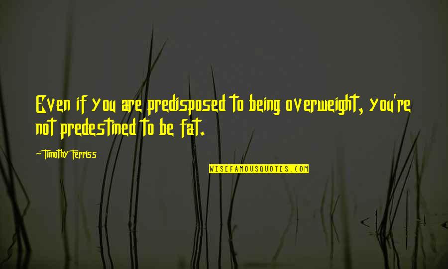 Being Fat Quotes By Timothy Ferriss: Even if you are predisposed to being overweight, Being Fat Quotes By Timothy Ferriss: Even if you are predisposed to being overweight,