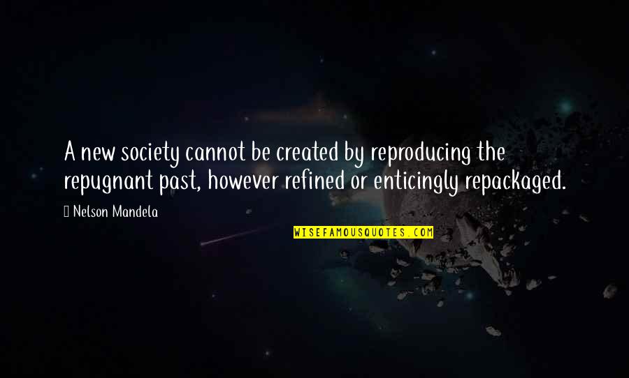 Being Financially Free Quotes By Nelson Mandela: A new society cannot be created by reproducing