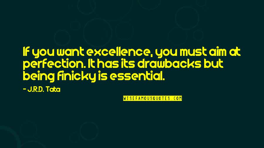 Being Finicky Quotes By J.R.D. Tata: If you want excellence, you must aim at